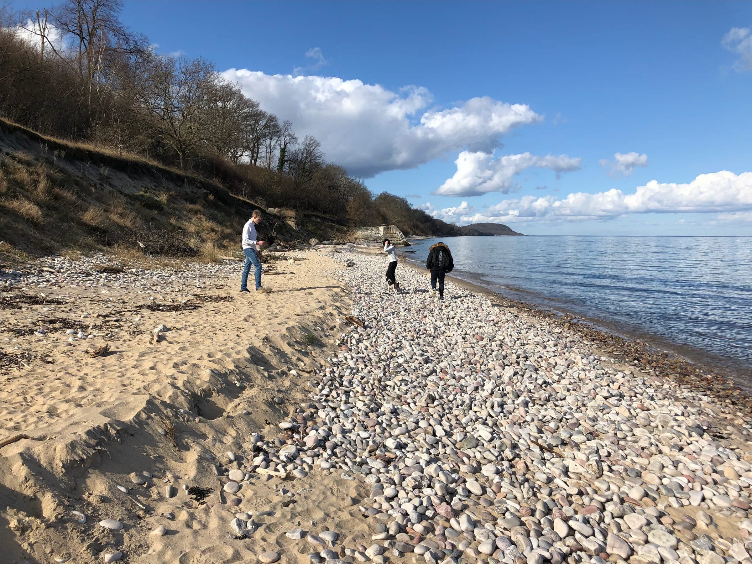 Elever på stenstrand vid havet på Österlen